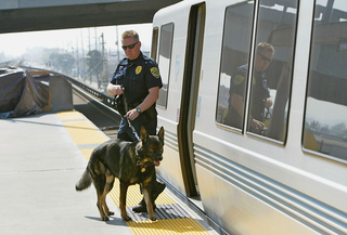 A plucky crime-fighting police dog is recalled from the murder scene when investigators determine his services are not necessary.